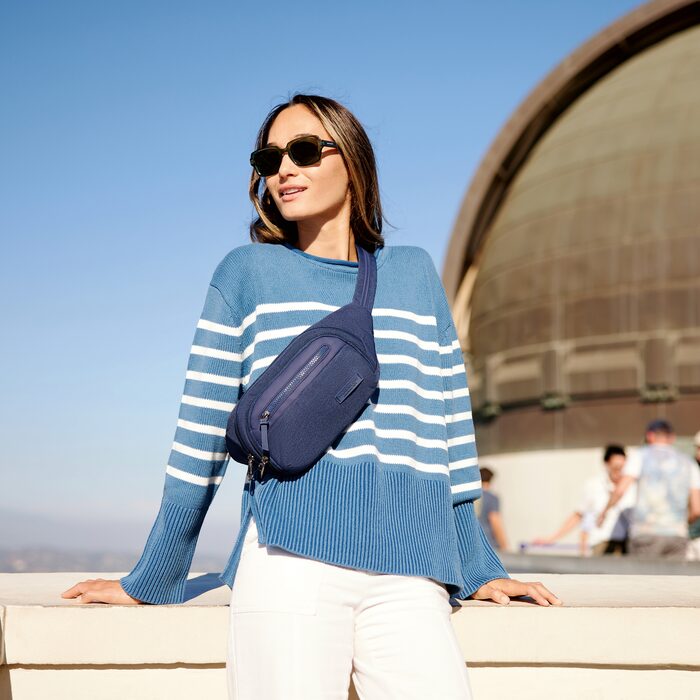 Anti-Theft Waist Pack