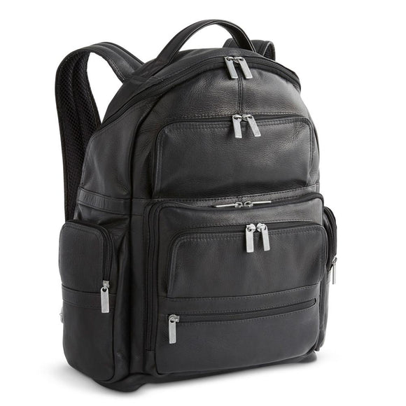 DayTrekr Leather Backpack