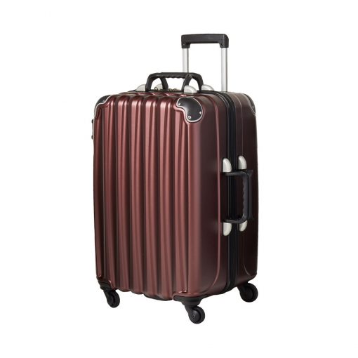 VinGardeValise® Wine Carrier The Grande